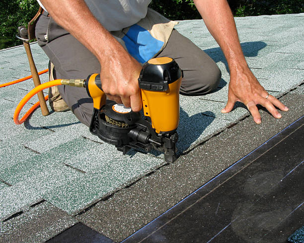 Best Roof Gutter Cleaning  in Santee, SC