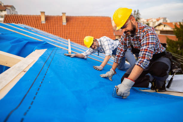 Best Roof Gutter Cleaning  in Santee, SC