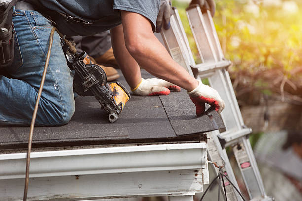 Roof Gutter Cleaning in Santee, SC